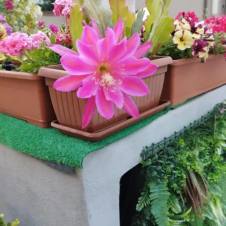 Residenza La Torre Oda ve Kahvaltı 3*